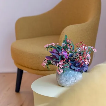 Apartment Serviced - Estrela *